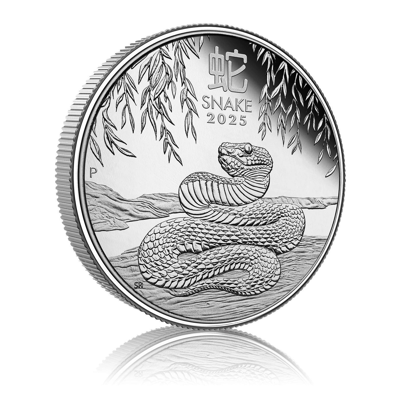 1oz Silver Perth Mint Year of the Snake (2025) 4